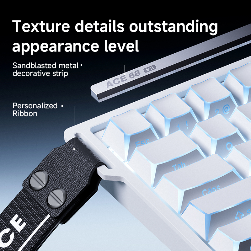 MCHOSE ACE68 V2 gaming keyboar - огляд і ціна Gaming Keyboard Expensive