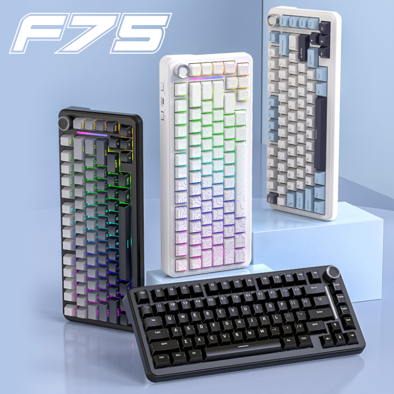 75% Hot Swap Gaming Keyboard W - огляд і ціна Gaming Keyboard Expensive